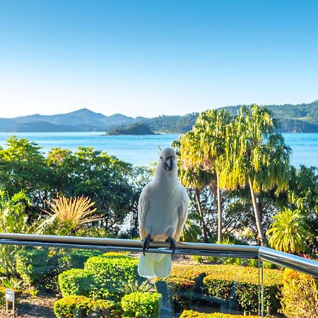 Lagoon Apartments On Hamilton Island By Hiha Exteriör bild