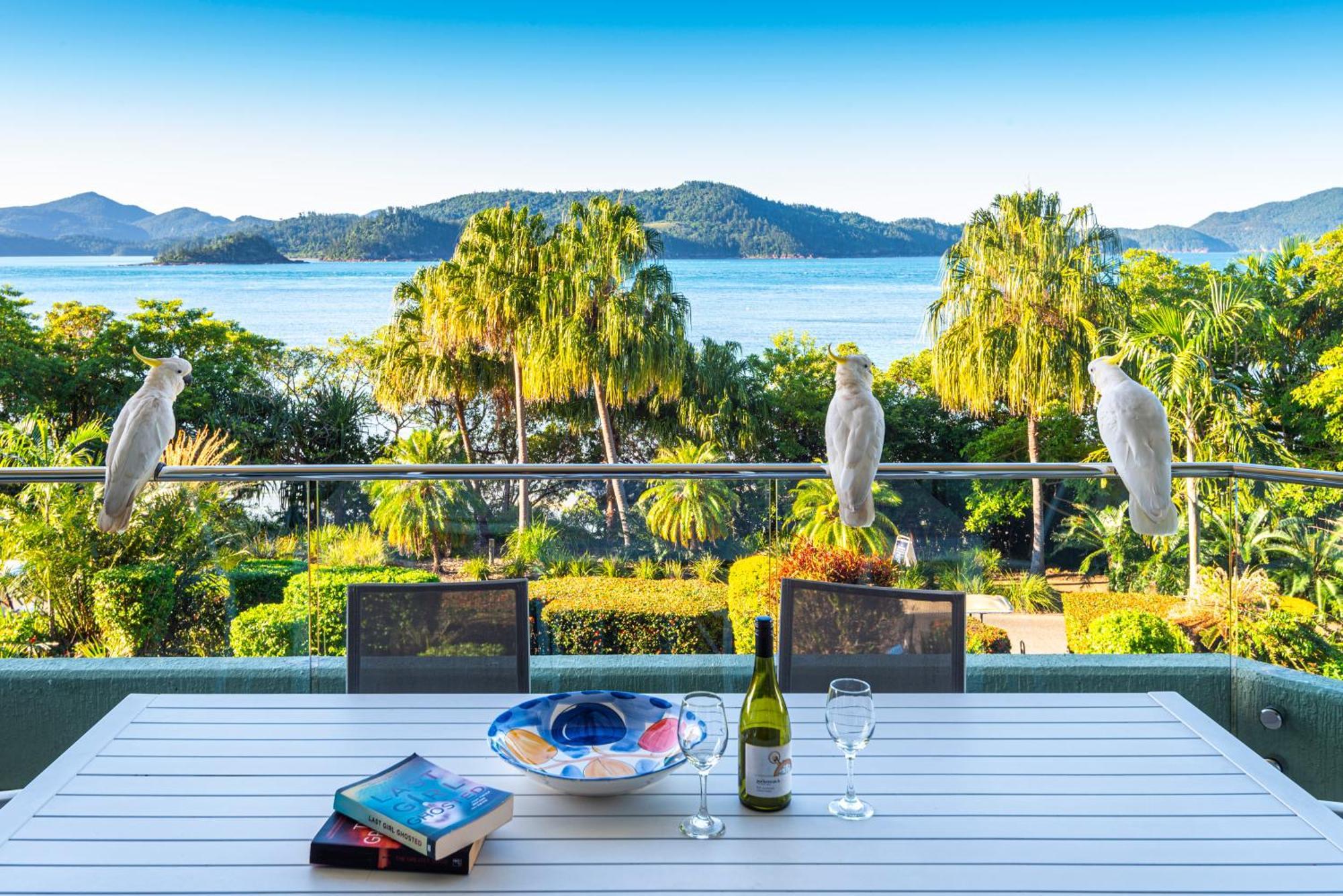 Lagoon Apartments On Hamilton Island By Hiha Exteriör bild